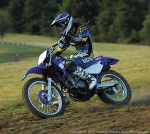 Product picture 2000-2004 Yamaha ttr225 L Service Repair Manual